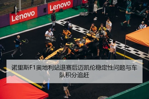 nuo-li-si-ao-di-li-zhan-tui-sai-hou-mai-kai-lun-wen-ding-xing-wen-ti-yu-che-dui-ji-fen-zhui-gan-3-406.jpg