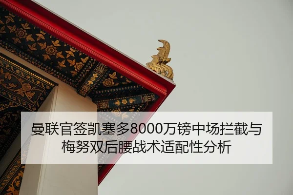 曼联官签凯塞多8000万镑中场拦截与梅努双后腰战术适配性分析